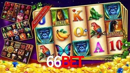 66bet Salvador - Promo Stats